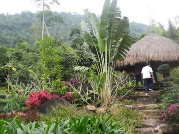 三亚慢游攻略,三亚慢生活视频