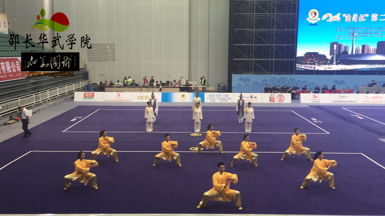 英姿飒爽战津门，武林大会再辉煌，龙身蛇形太极2016征战辉煌