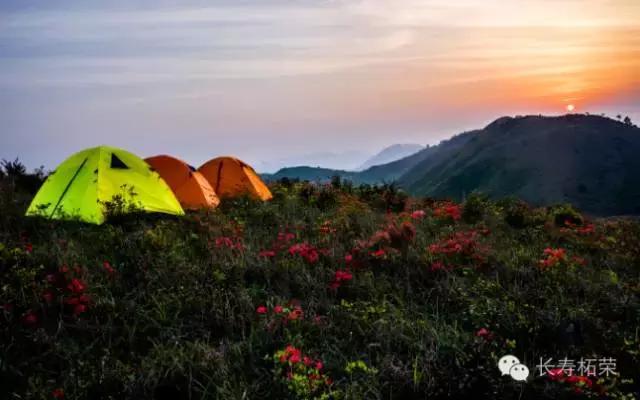 柘荣县旅游必去十大景点,柘荣县楮坪乡景点