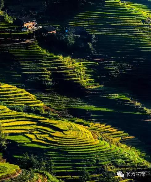 柘荣县旅游必去十大景点,柘荣县楮坪乡景点