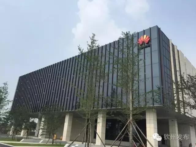 华为、七喜等名企助力，“钦州元素”绽放中国—东盟博览会