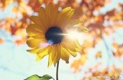 程序员加油站,程序员深度学习实战讲解