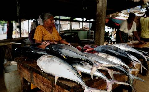 海岛旅游签证,海岛签证推荐