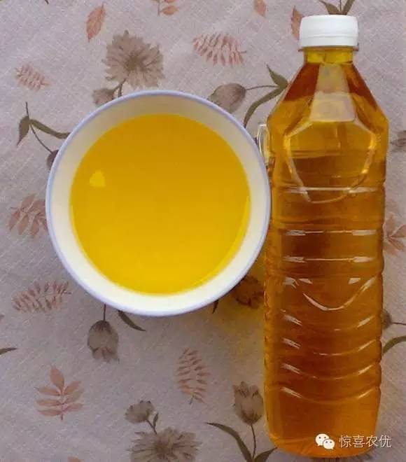 既可以食用又可以药用的植物,可食用又可用的食品