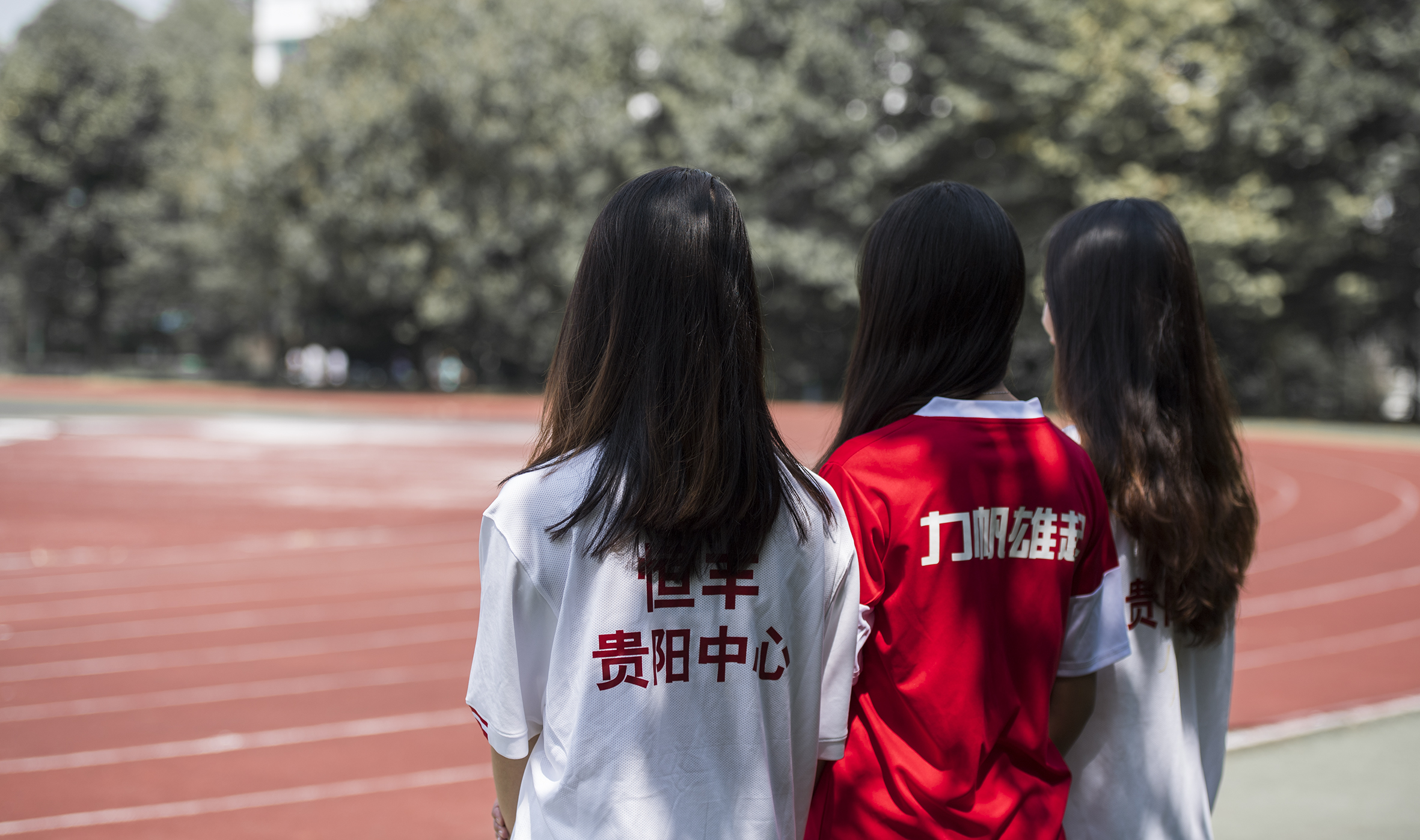 恒丰智诚致意球迷,恒丰球迷助威