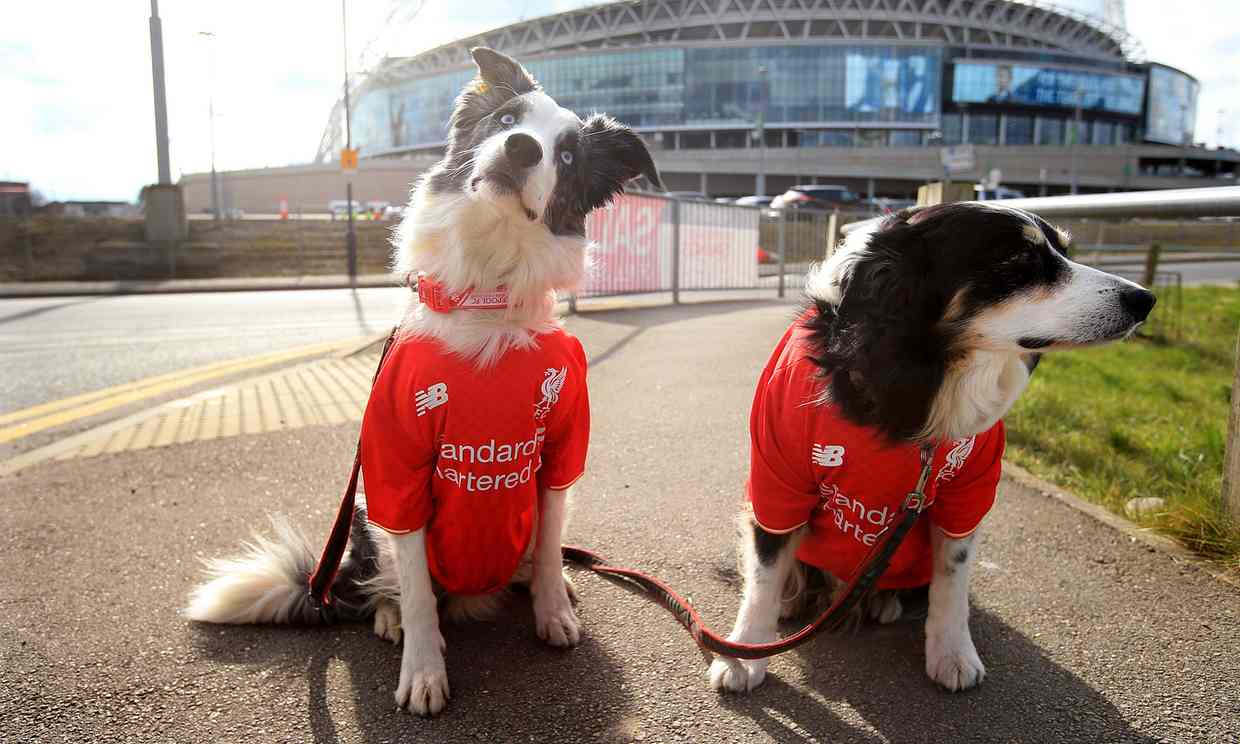 足球讲道理,足球世界的转会市场怎么了