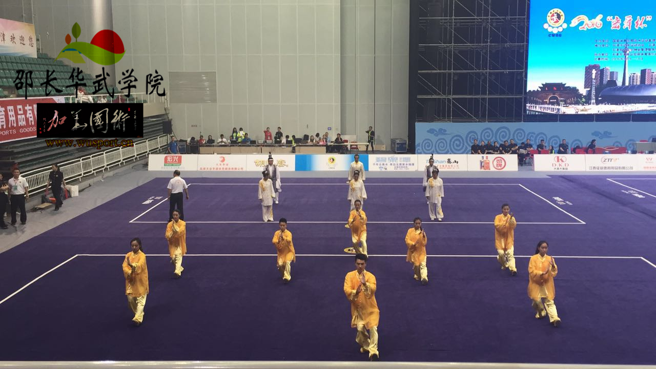 英姿飒爽战津门，武林大会再辉煌，龙身蛇形太极2016征战辉煌