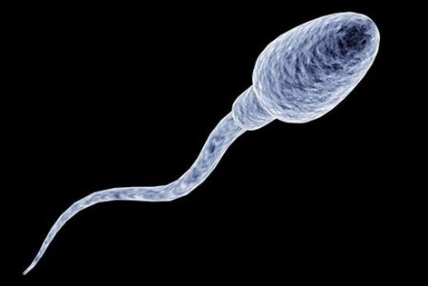 “弟弟”不常用竟然会缩小！男女之间这些事你知道多少？