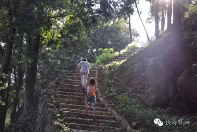 柘荣县旅游必去十大景点,柘荣县楮坪乡景点