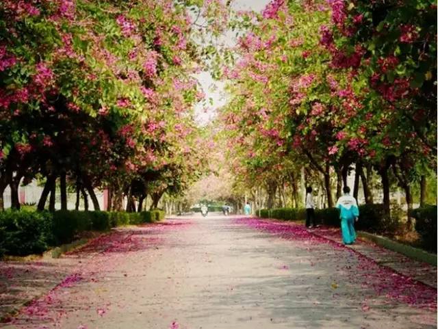 你为什么定居厦门,多少人离开了厦门