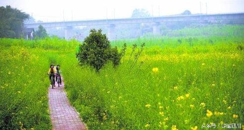 四川的小众旅行攻略,成都温江区旅游攻略来了