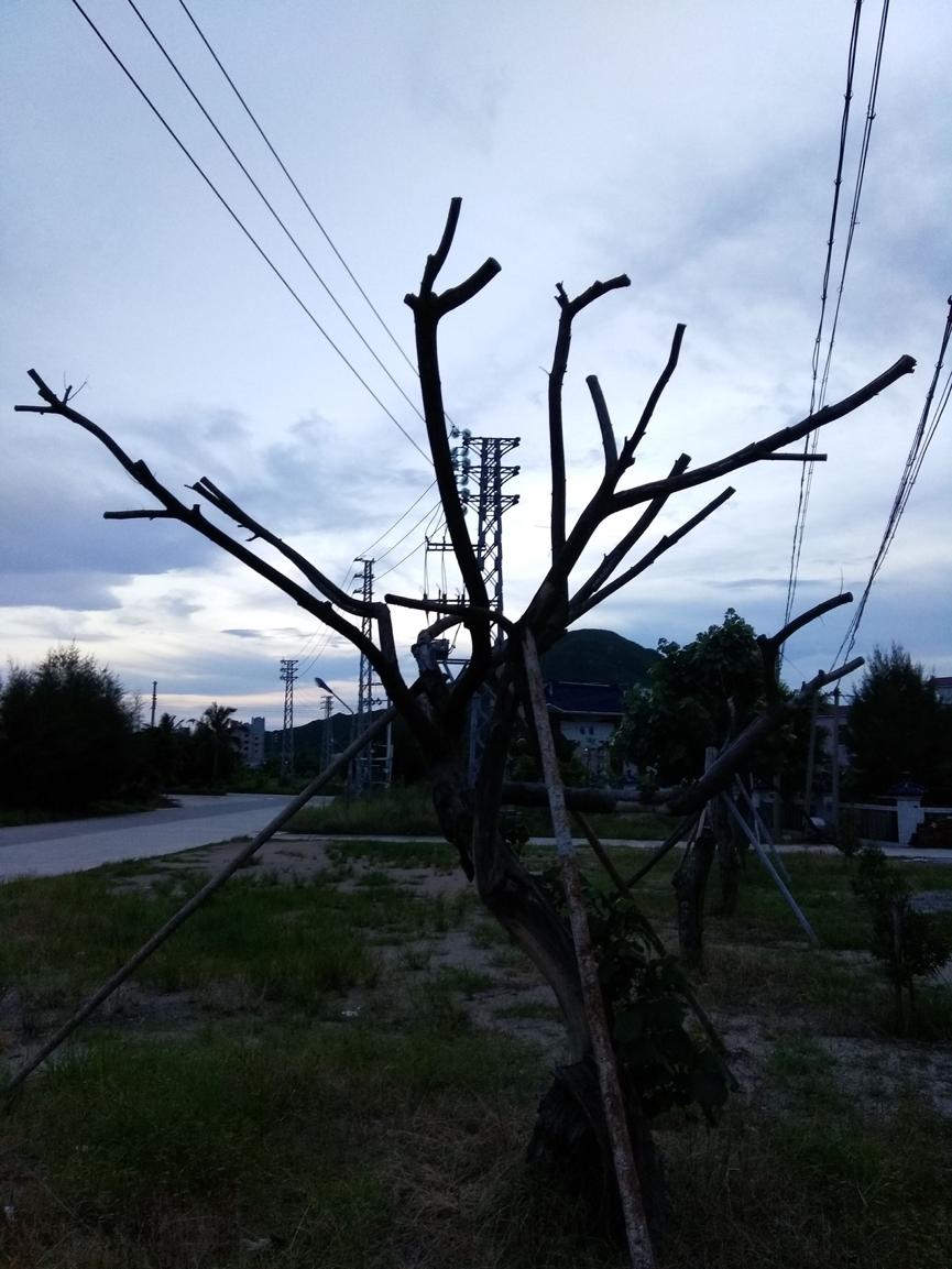 cool1dual是什么手机,cool1dual