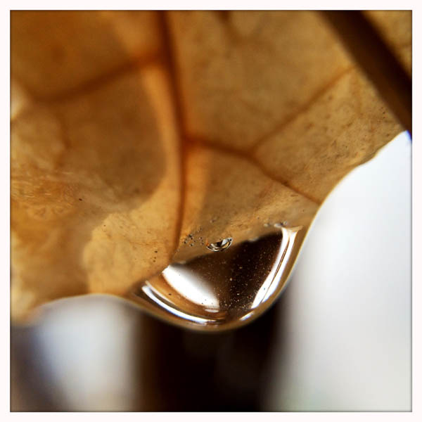 手机摄影普及，这几家厂商做了不可磨灭的贡献