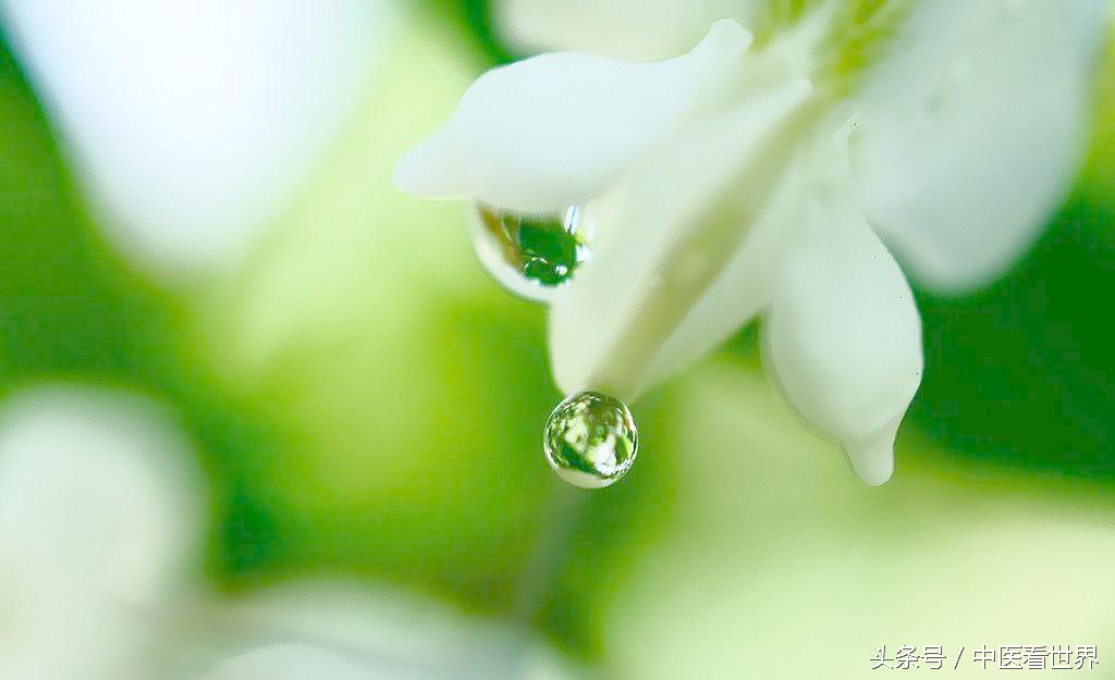 什么米糊既养胃又乌发,降脂杂粮米