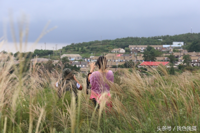 澶ц繛绾㈠矝,澶ц繛甯傞噾宸炲尯绾㈠矝