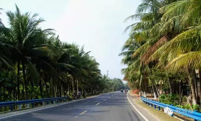 带你欣赏海南岛自然风光,海南岛椰林沙滩