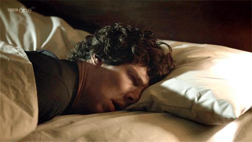 就让加菲毁掉你的中秋吧喵哈哈哈