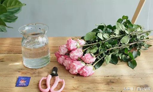 鲜花插花图解大全,鲜花醒花后怎么插花好看