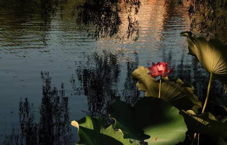 佛教参观景德镇,淄博佛教故事