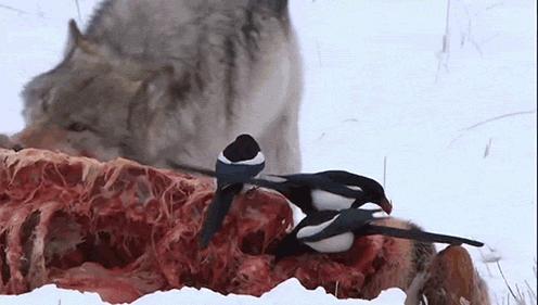 小孩搞笑gif,搞笑gif动图小孩子