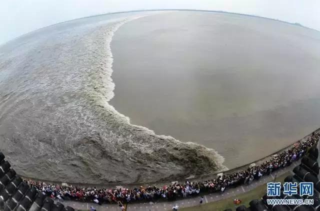 渭南到三原早班车,渭南到大荔县早班车