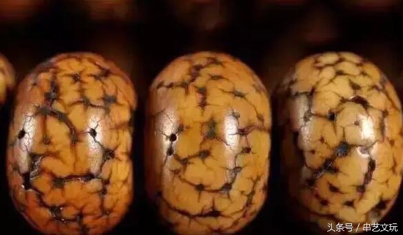 阴皮星月盘花了是什么样子,星月盘花了怎么办