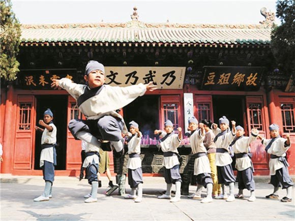 河南有什么拳,河南最凶恶拳种