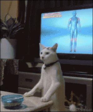 五人足球中场休息,足球比赛中场休息表演