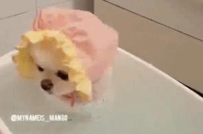 五人足球中场休息,足球比赛中场休息表演