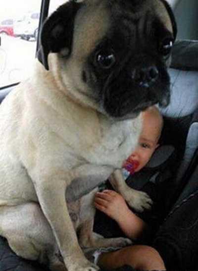 笑吧笑吧歌词图片,笑吧笑吧完整版歌词