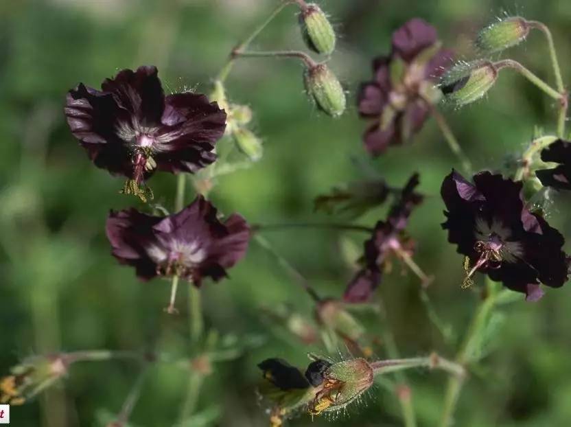 15个高颜值花园庭院设计,冬日无阳光的后花园庭院设计