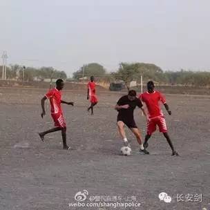 南苏丹维和故事：拯救“总指挥”“鸡毛信”营地捣乱的狒狒