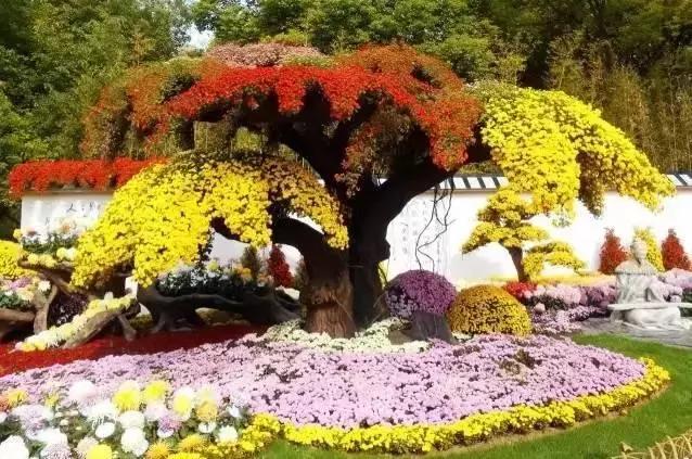 西安国庆大唐不夜城有什么节目,西安国庆有什么玩的