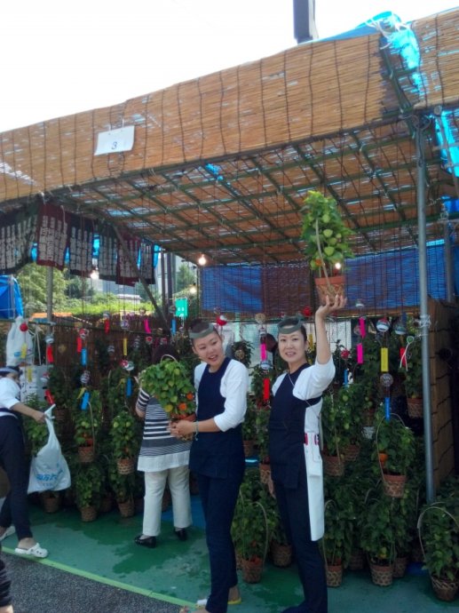 日本东京的城市特点,日本东京被称为什么