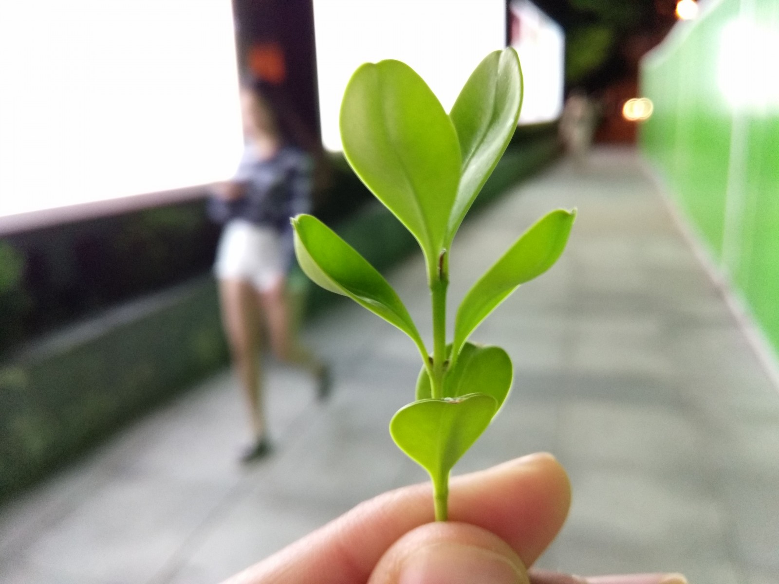 酷派cool1怎么样,酷派cool1dual点评