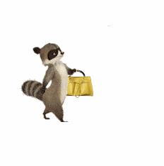 旅行时的规则和关注事项,旅行时要遵照的规则