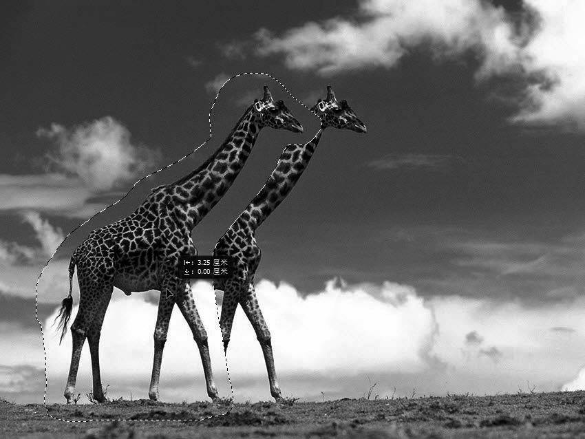 新手如何学ps修图片,5分钟学会的ps技巧