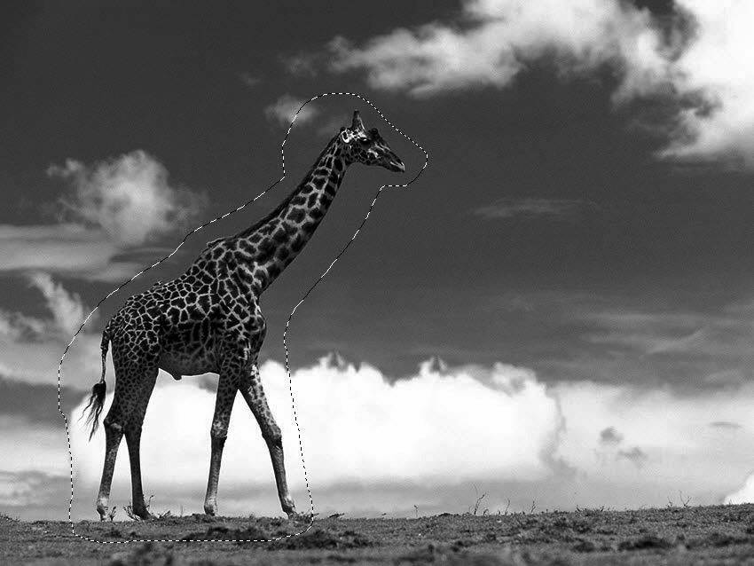 新手如何学ps修图片,5分钟学会的ps技巧