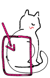 下雨天救助流浪猫,救助流浪猫一定要给猫咪定期驱虫