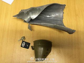 南苏丹维和故事：拯救“总指挥”“鸡毛信”营地捣乱的狒狒