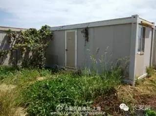 南苏丹维和故事：拯救“总指挥”“鸡毛信”营地捣乱的狒狒