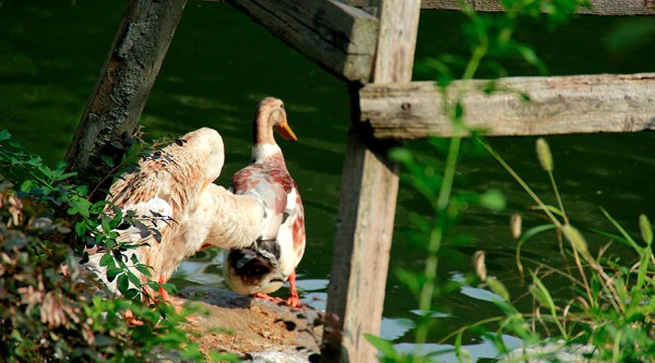 扬州比较推荐的住宿,扬州国庆路住宿推荐
