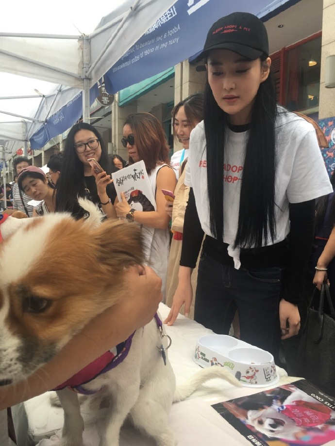 馨予出席宠物领养日很有爱，为何却被网友吐槽！
