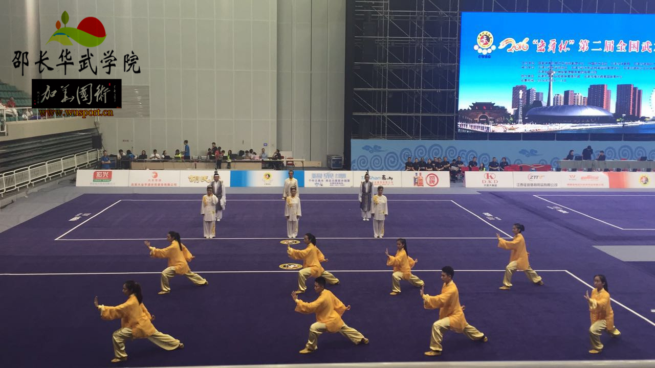英姿飒爽战津门，武林大会再辉煌，龙身蛇形太极2016征战辉煌