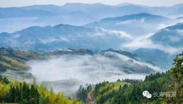 柘荣县旅游必去十大景点,柘荣县楮坪乡景点