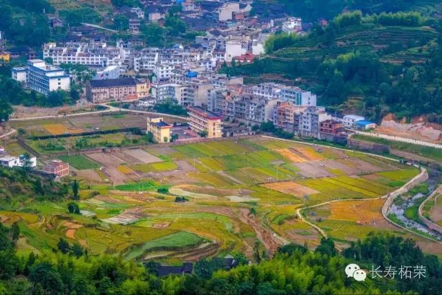 柘荣县旅游必去十大景点,柘荣县楮坪乡景点