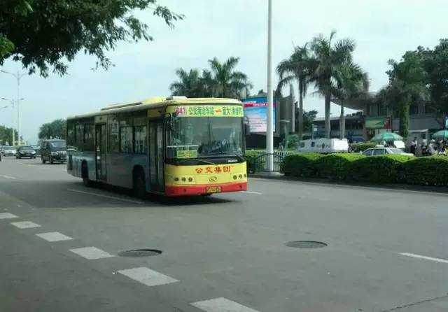 你为什么定居厦门,多少人离开了厦门