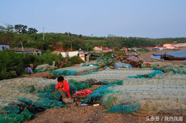 澶ц繛绾㈠矝,澶ц繛甯傞噾宸炲尯绾㈠矝