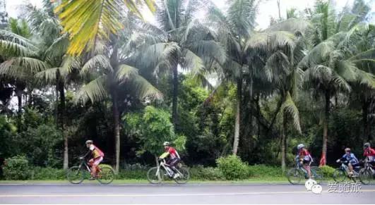 带你欣赏海南岛自然风光,海南岛椰林沙滩