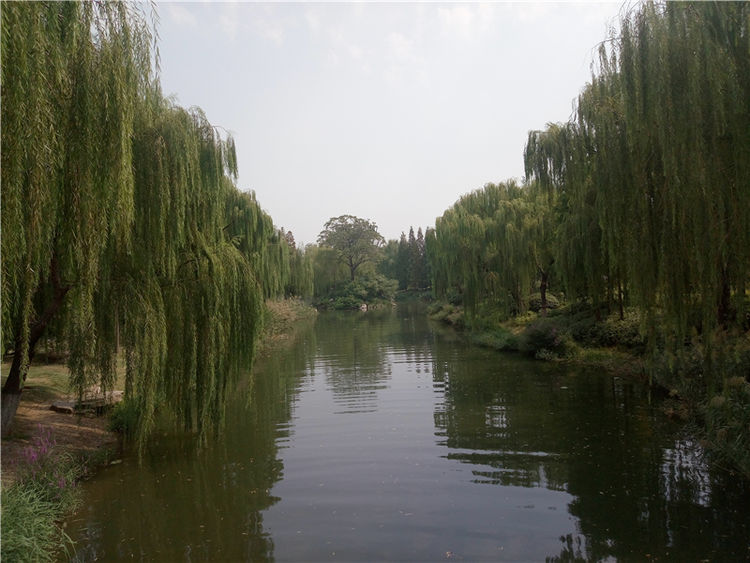 金立m6plus多大屏幕,金立m6plus玩吃鸡